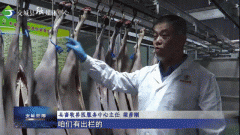 交城：严把屠宰检疫关 确保节日肉类供应平安靠
