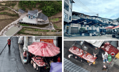 <b>食物平安关乎平易近生福祉依法整治迫正在眉睫</b>